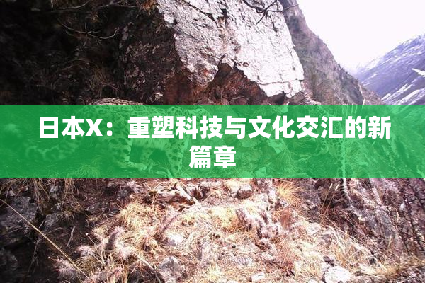 日本X：重塑科技与文化交汇的新篇章