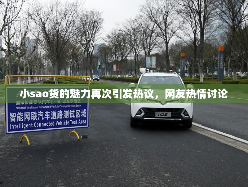 小sao货的魅力再次引发热议，网友热情讨论