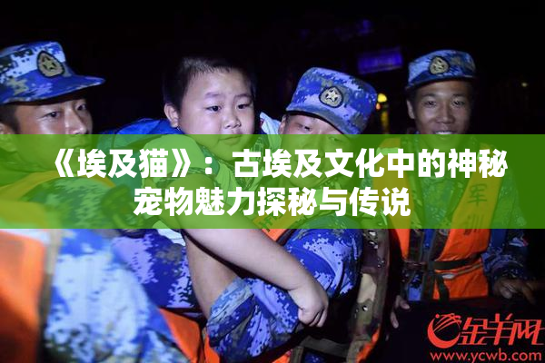《埃及猫》：古埃及文化中的神秘宠物魅力探秘与传说