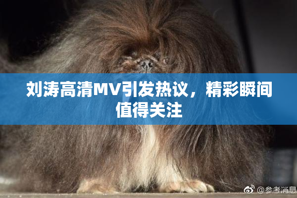 刘涛高清MV引发热议，精彩瞬间值得关注