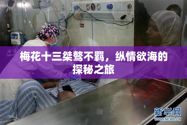 梅花十三桀骜不羁，纵情欲海的探秘之旅