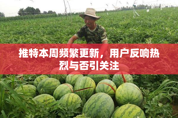 推特本周频繁更新，用户反响热烈与否引关注