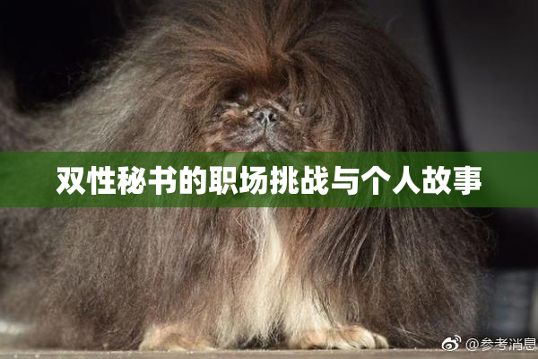 双性秘书的职场挑战与个人故事