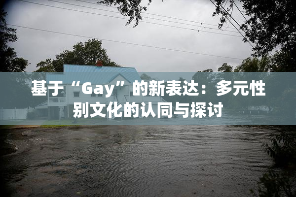基于“Gay”的新表达：多元性别文化的认同与探讨