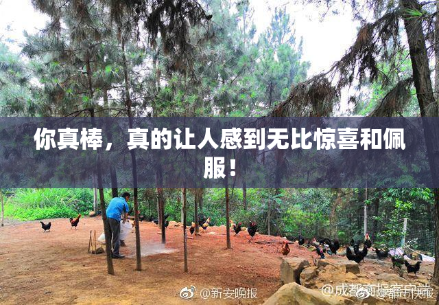 你真棒，真的让人感到无比惊喜和佩服！