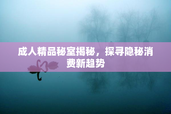 成人精品秘室揭秘，探寻隐秘消费新趋势