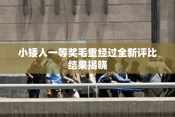 小矮人一等奖毛重经过全新评比结果揭晓