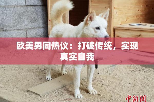 欧美男同热议：打破传统，实现真实自我