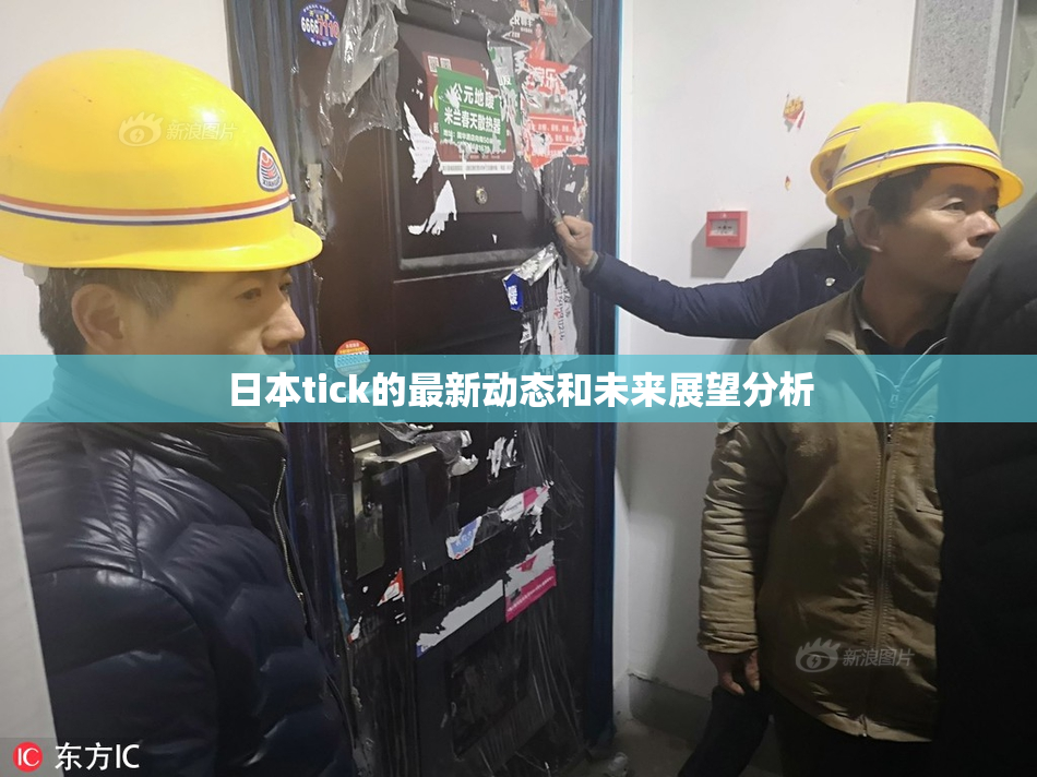 日本tick的最新动态和未来展望分析