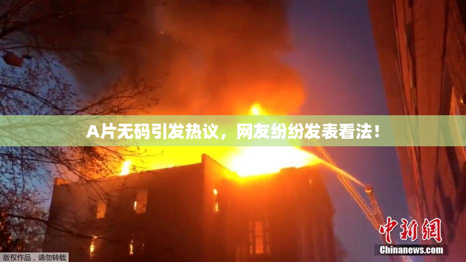 A片无码引发热议，网友纷纷发表看法！