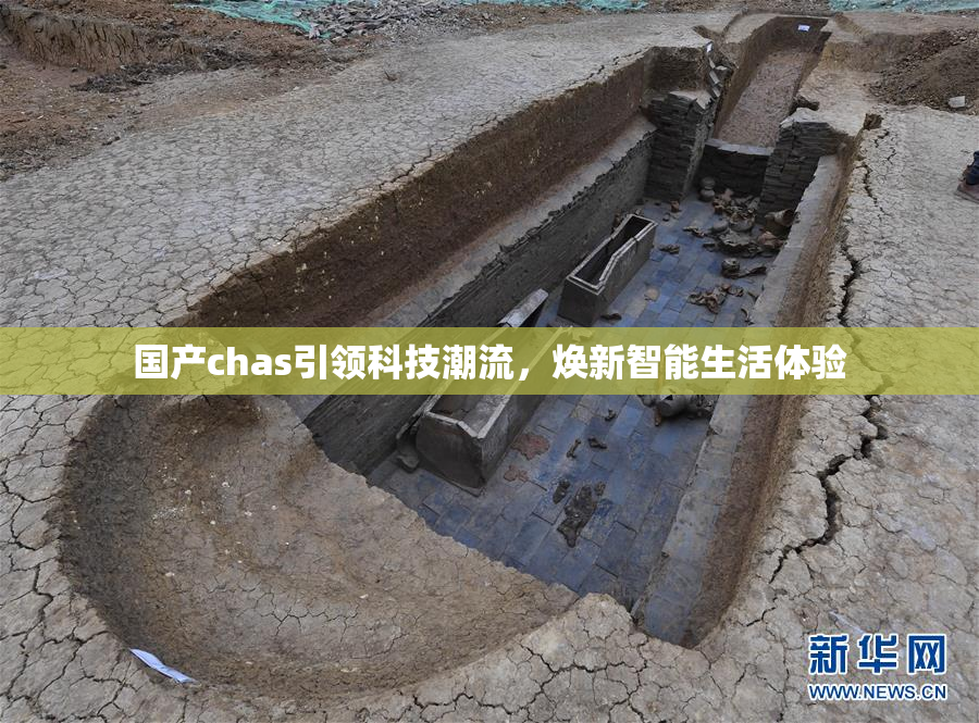 国产chas引领科技潮流，焕新智能生活体验