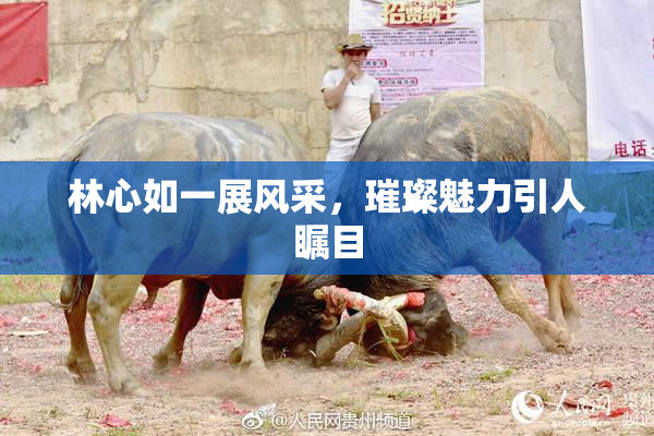 林心如一展风采，璀璨魅力引人瞩目