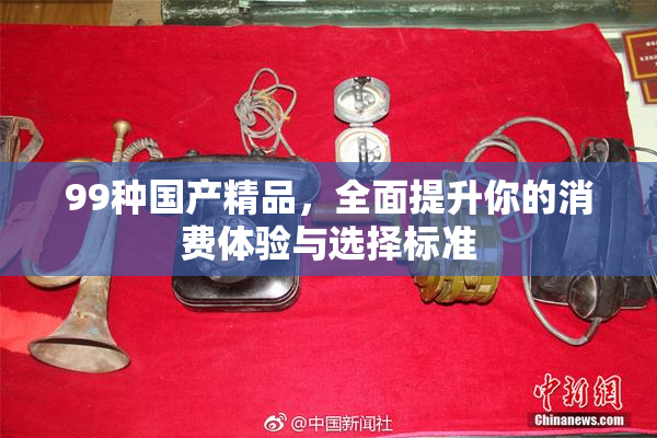 99种国产精品，全面提升你的消费体验与选择标准