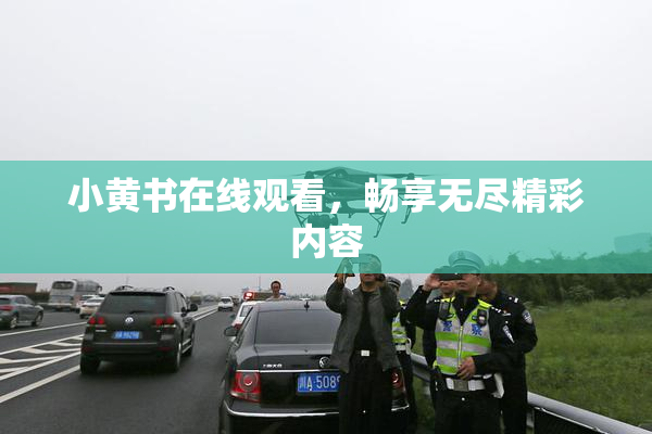 小黄书在线观看，畅享无尽精彩内容