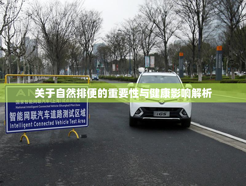 关于自然排便的重要性与健康影响解析