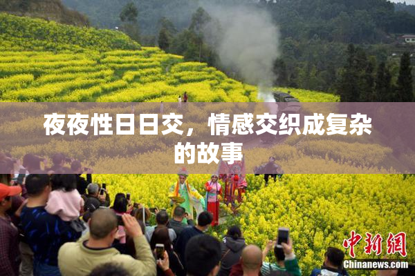 夜夜性日日交，情感交织成复杂的故事
