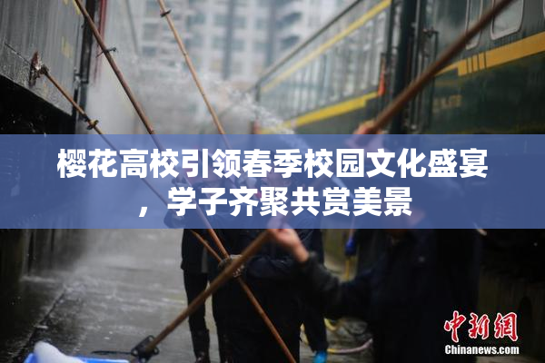 樱花高校引领春季校园文化盛宴，学子齐聚共赏美景