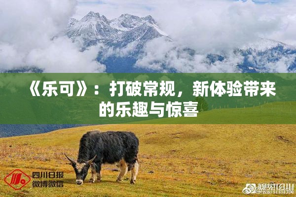 《乐可》：打破常规，新体验带来的乐趣与惊喜