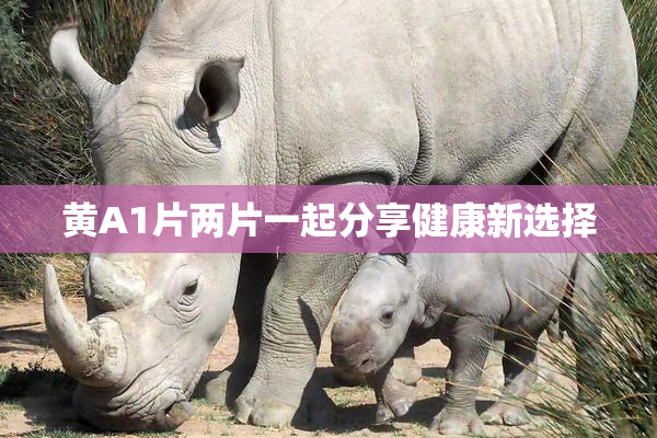 黄A1片两片一起分享健康新选择