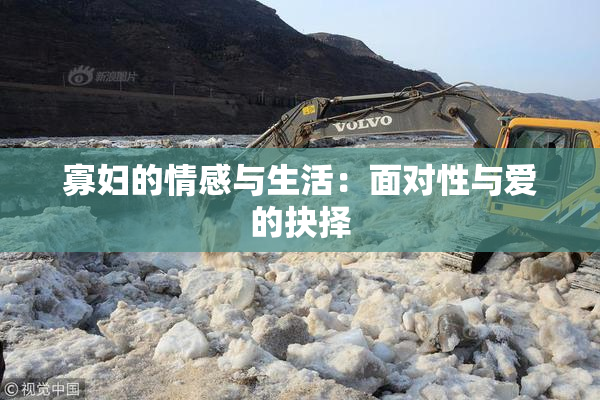 寡妇的情感与生活：面对性与爱的抉择