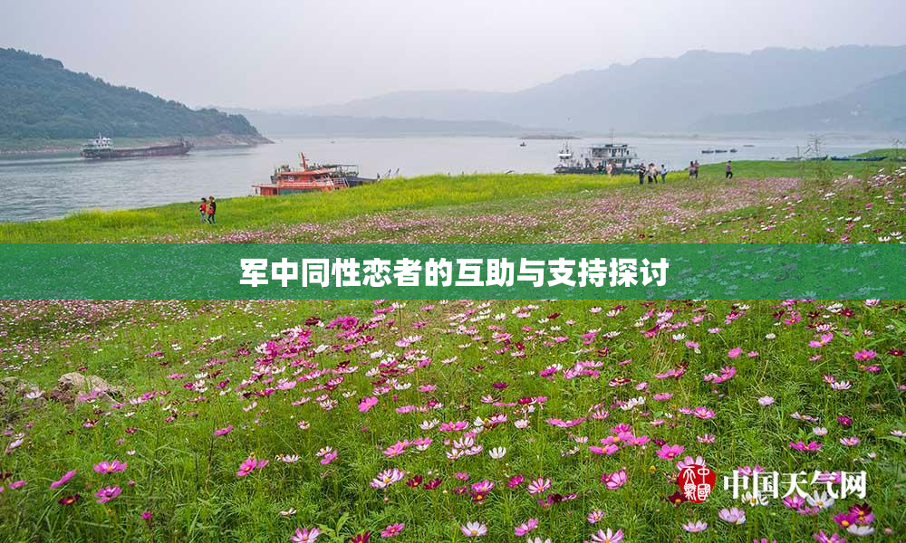 军中同性恋者的互助与支持探讨