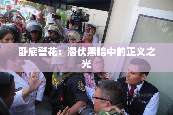 卧底警花：潜伏黑暗中的正义之光