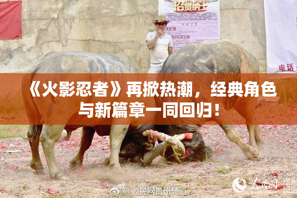 《火影忍者》再掀热潮，经典角色与新篇章一同回归！
