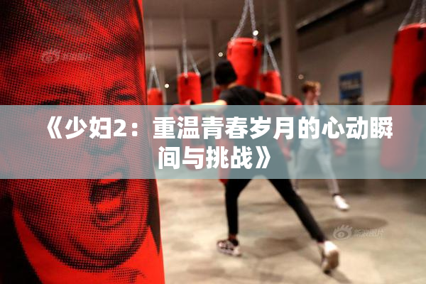 《少妇2：重温青春岁月的心动瞬间与挑战》