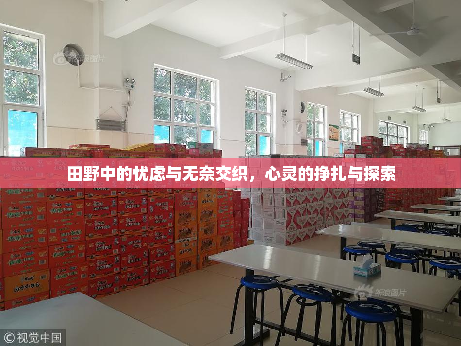 田野中的忧虑与无奈交织，心灵的挣扎与探索