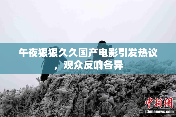午夜狠狠久久国产电影引发热议，观众反响各异