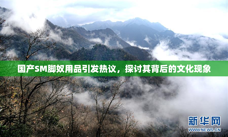 国产SM脚奴用品引发热议，探讨其背后的文化现象