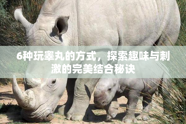 6种玩睾丸的方式，探索趣味与刺激的完美结合秘诀