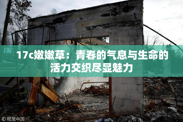 17c嫩嫩草：青春的气息与生命的活力交织尽显魅力