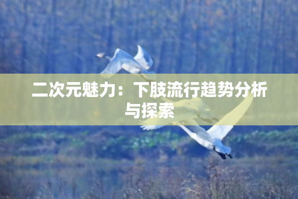 二次元魅力：下肢流行趋势分析与探索