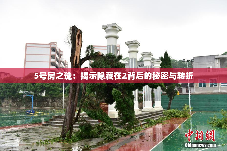 5号房之谜：揭示隐藏在2背后的秘密与转折