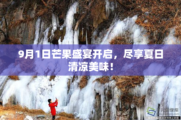 9月1日芒果盛宴开启，尽享夏日清凉美味！