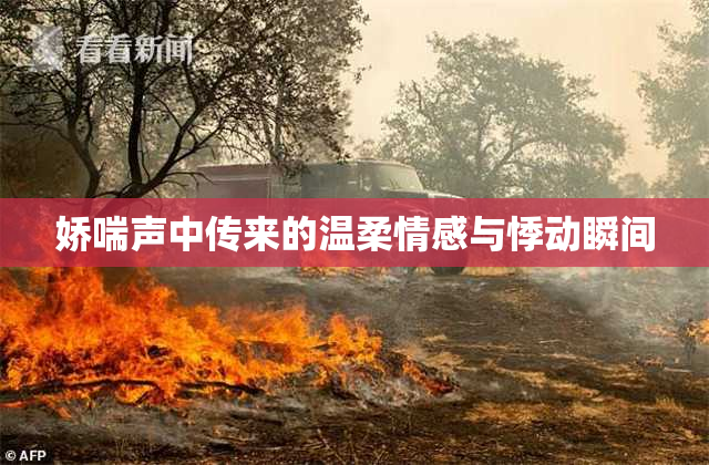 娇喘声中传来的温柔情感与悸动瞬间
