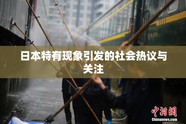 日本特有现象引发的社会热议与关注