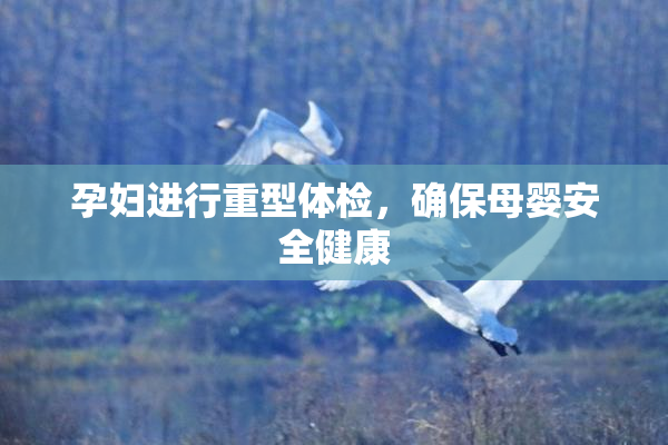 孕妇进行重型体检，确保母婴安全健康