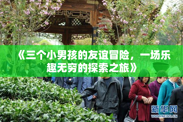 《三个小男孩的友谊冒险，一场乐趣无穷的探索之旅》