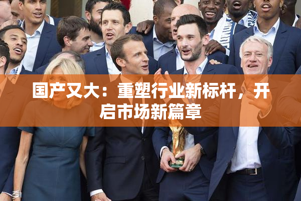 国产又大：重塑行业新标杆，开启市场新篇章