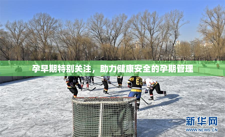 孕早期特别关注，助力健康安全的孕期管理