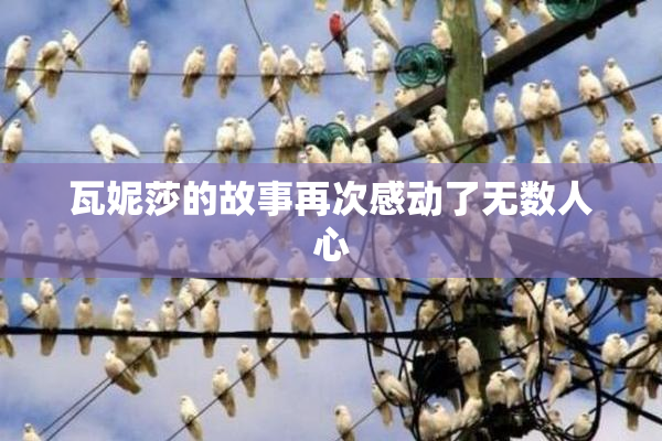 瓦妮莎的故事再次感动了无数人心