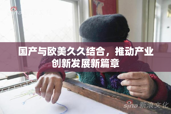 国产与欧美久久结合，推动产业创新发展新篇章