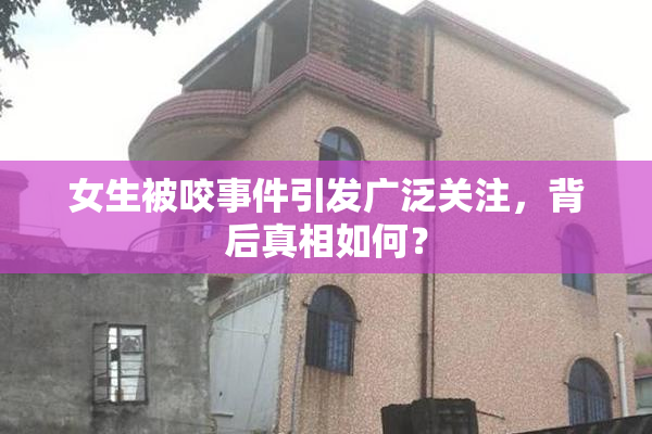 女生被咬事件引发广泛关注，背后真相如何？