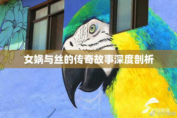 女娲与丝的传奇故事深度剖析