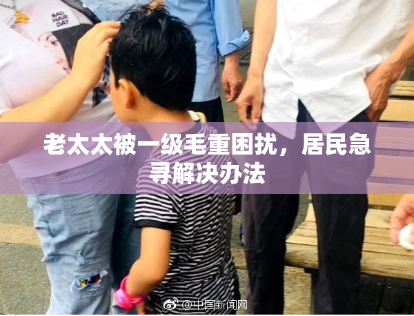 老太太被一级毛重困扰，居民急寻解决办法