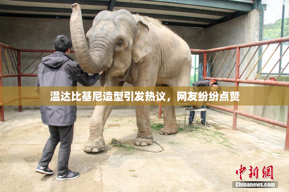 温达比基尼造型引发热议，网友纷纷点赞