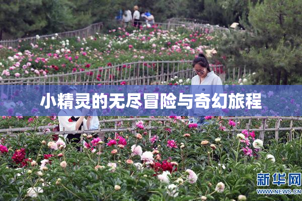 小精灵的无尽冒险与奇幻旅程