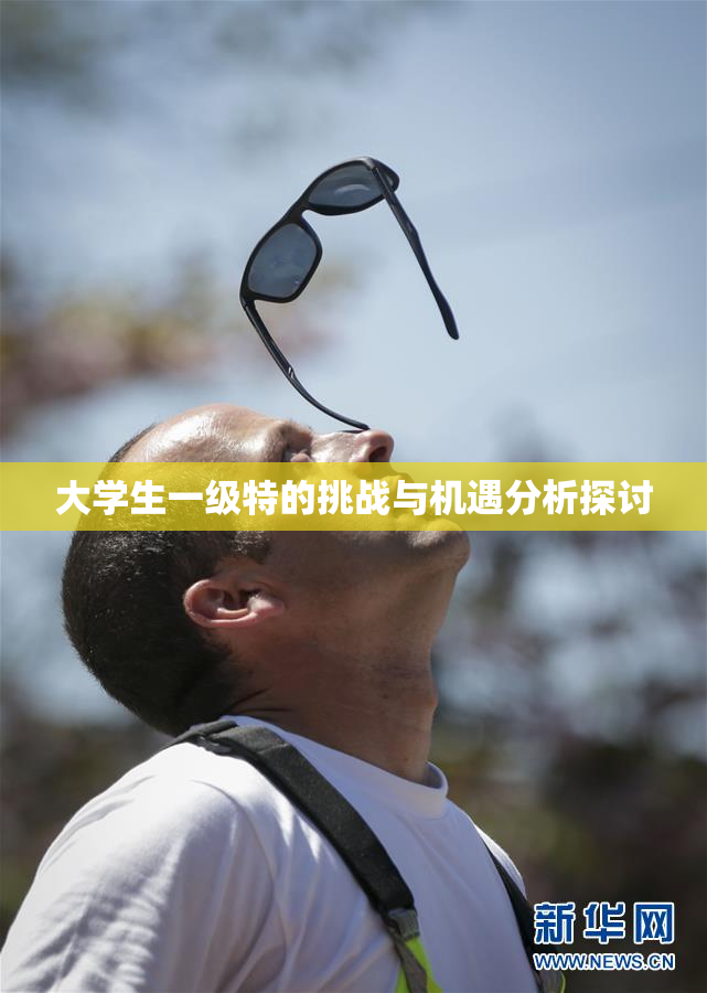 大学生一级特的挑战与机遇分析探讨